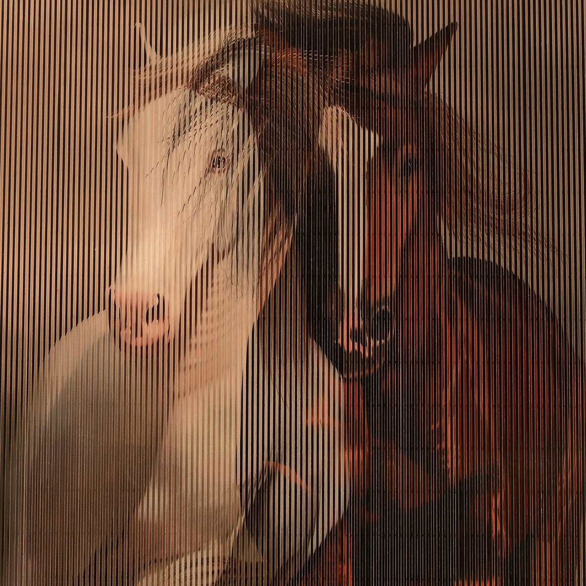 Gallopping Horses