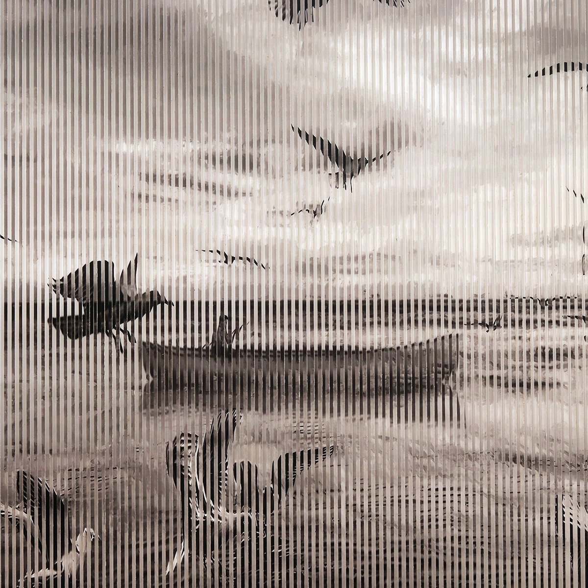 Horizon