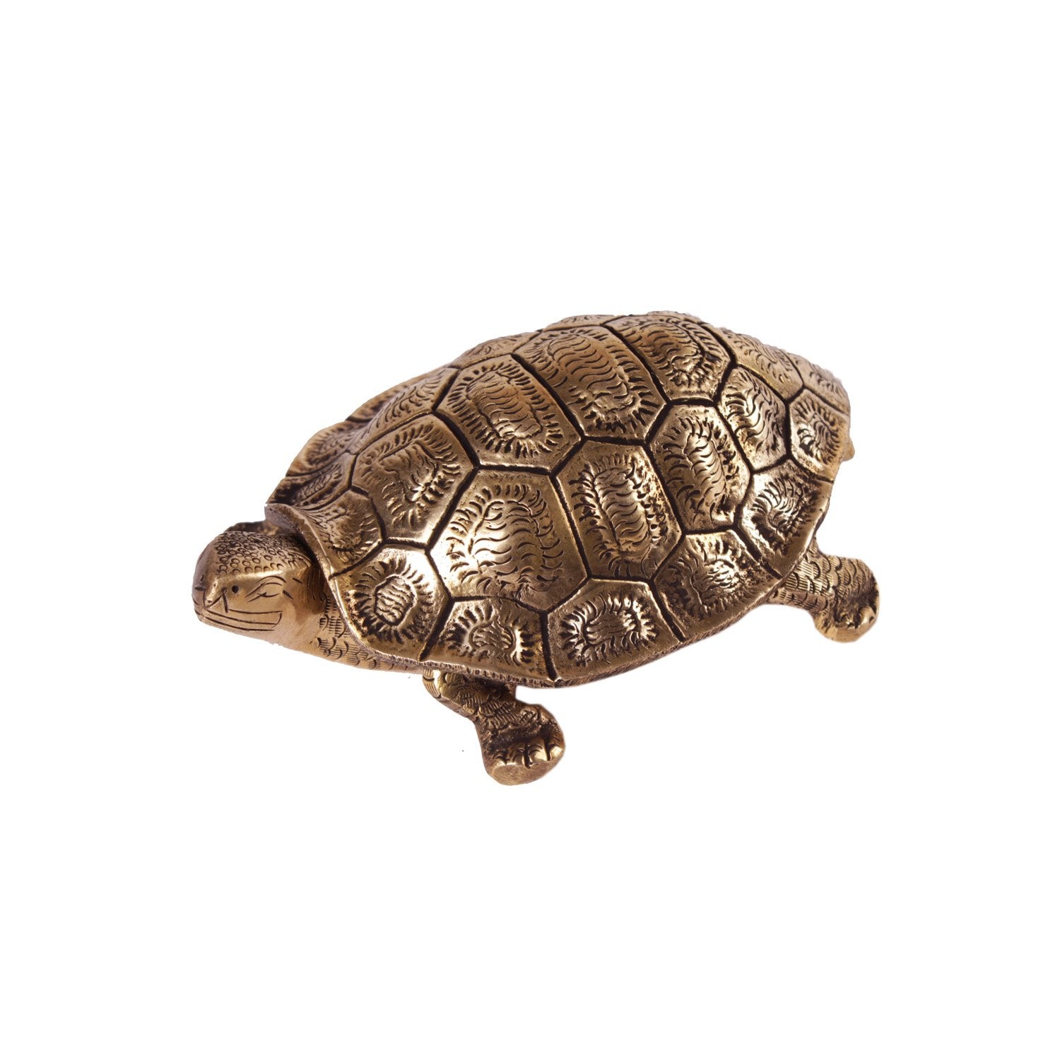 Tortoise Box - Brass