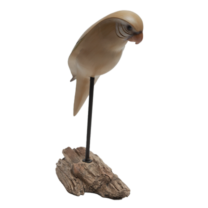 Perfect Perch