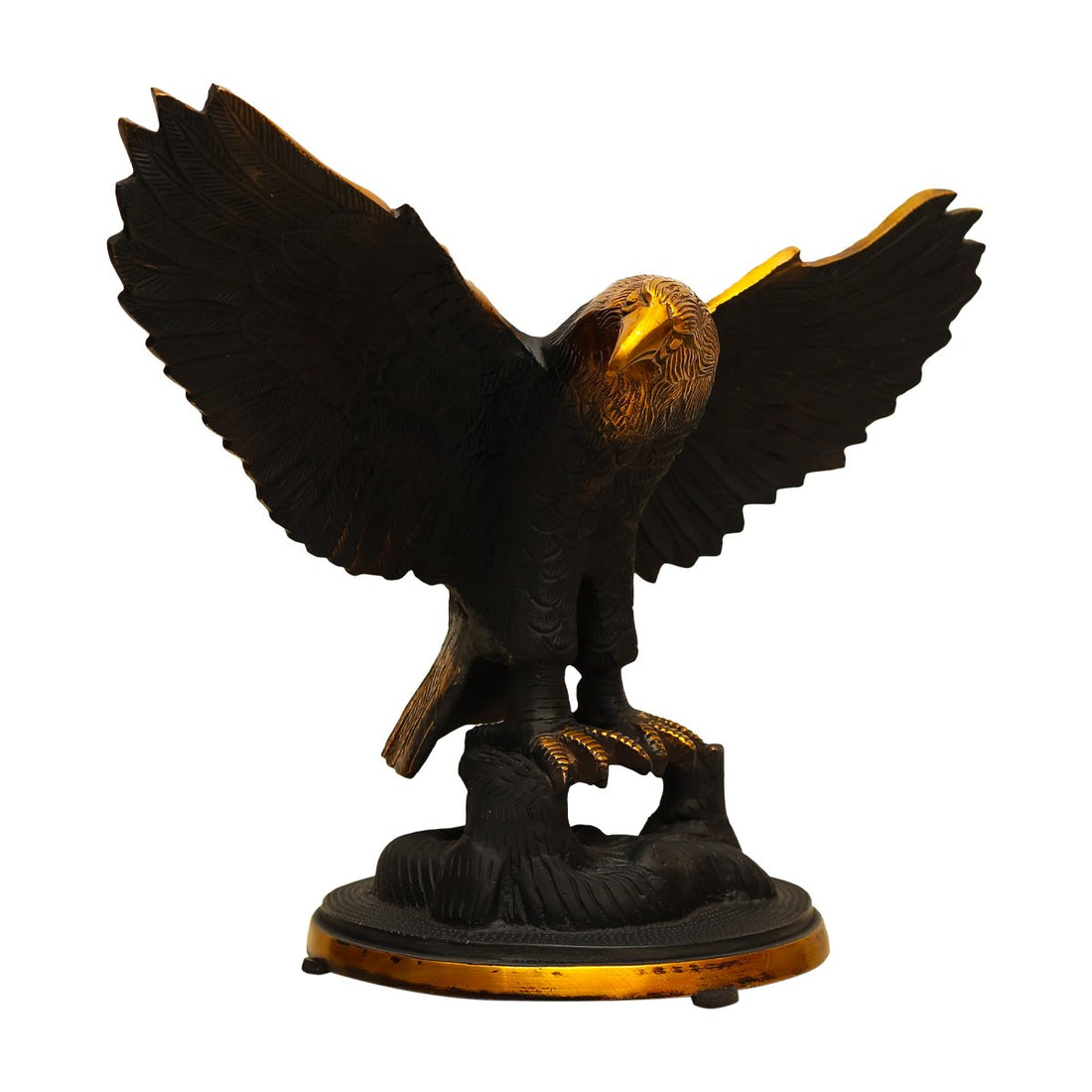 Eagle in Flight