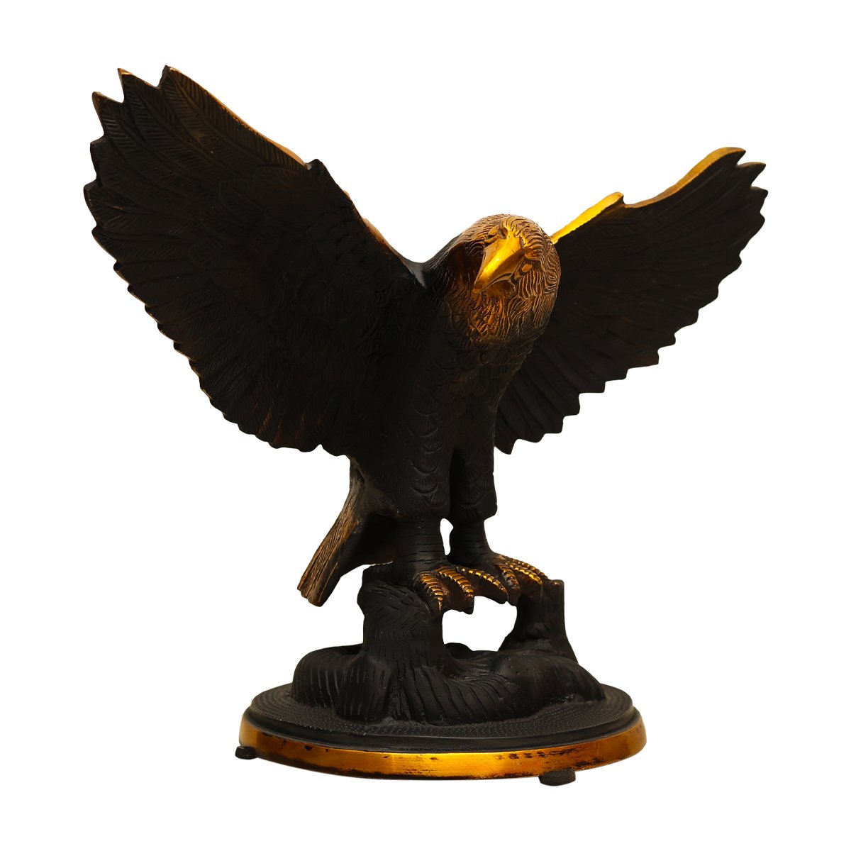 Eagle in Flight
