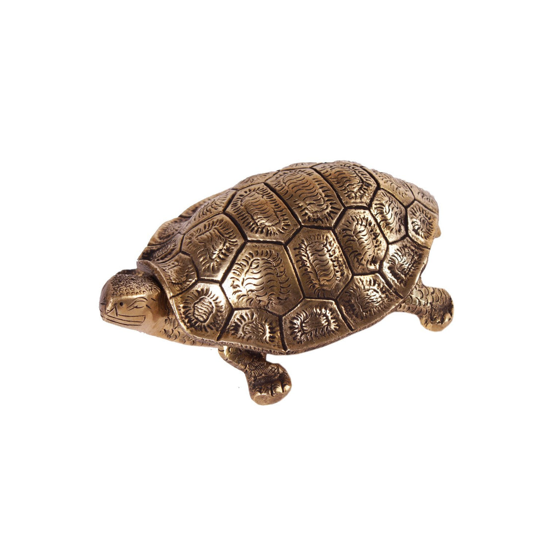 Tortoise Box - Brass