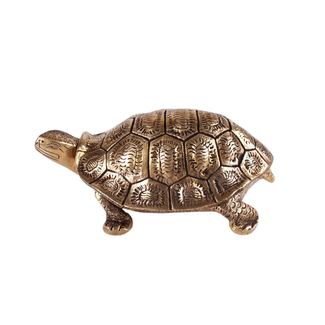 Tortoise Box - Brass