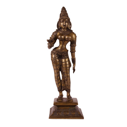 Apsara - Brass