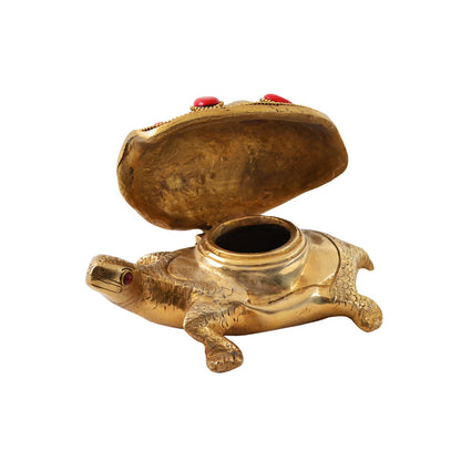 Coral Tortoise Box